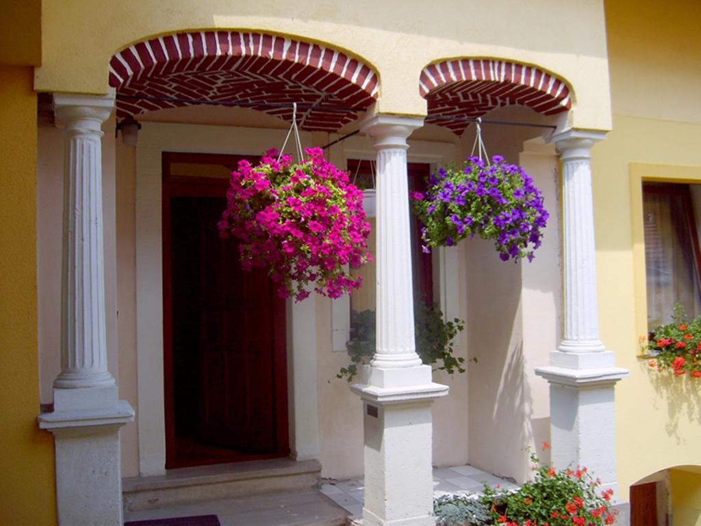Szuts Panzio Bed & Breakfast แฟร์โตราโคส ภายนอก รูปภาพ